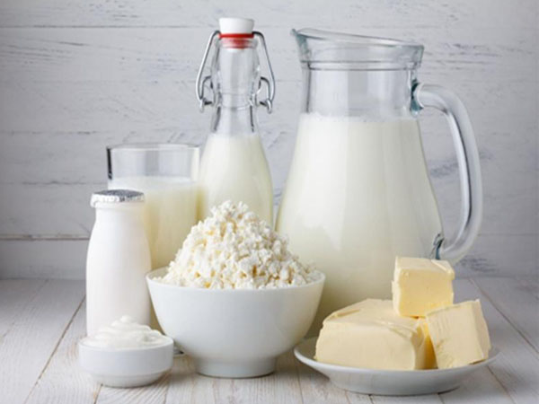 乳制品行業蒙牛集團解決方案