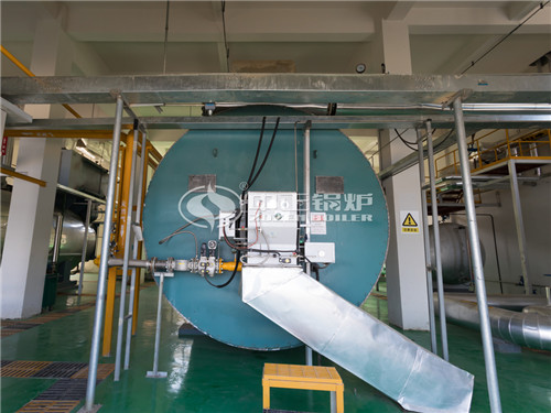 燃?xì)鈱?dǎo)熱油鍋爐廠家20噸鍋爐多少錢?